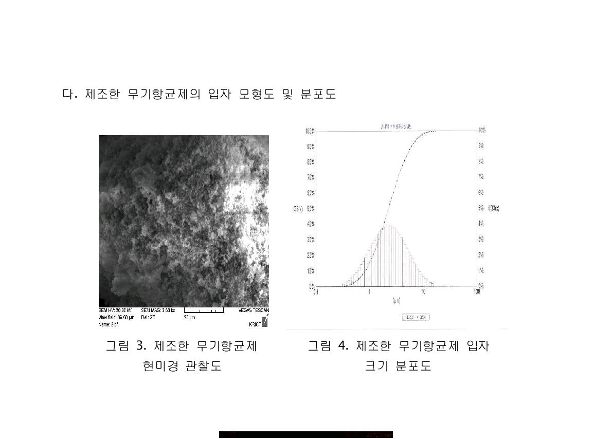 제조한 무기항균제 그림 4. 제조한 무기항균제 입자