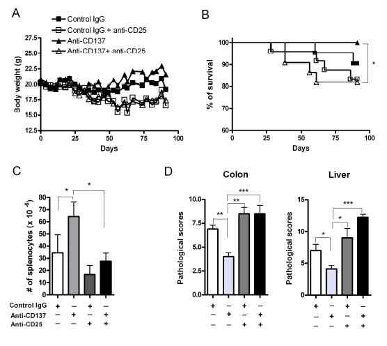 Anti-CD137 mediated inhibition of GVHD is dependent upon Tregs.