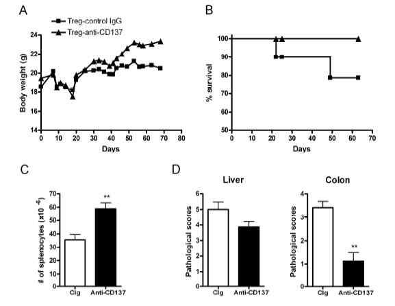 Tregs primed by anti-CD137 mAbs inhibit GVHD.