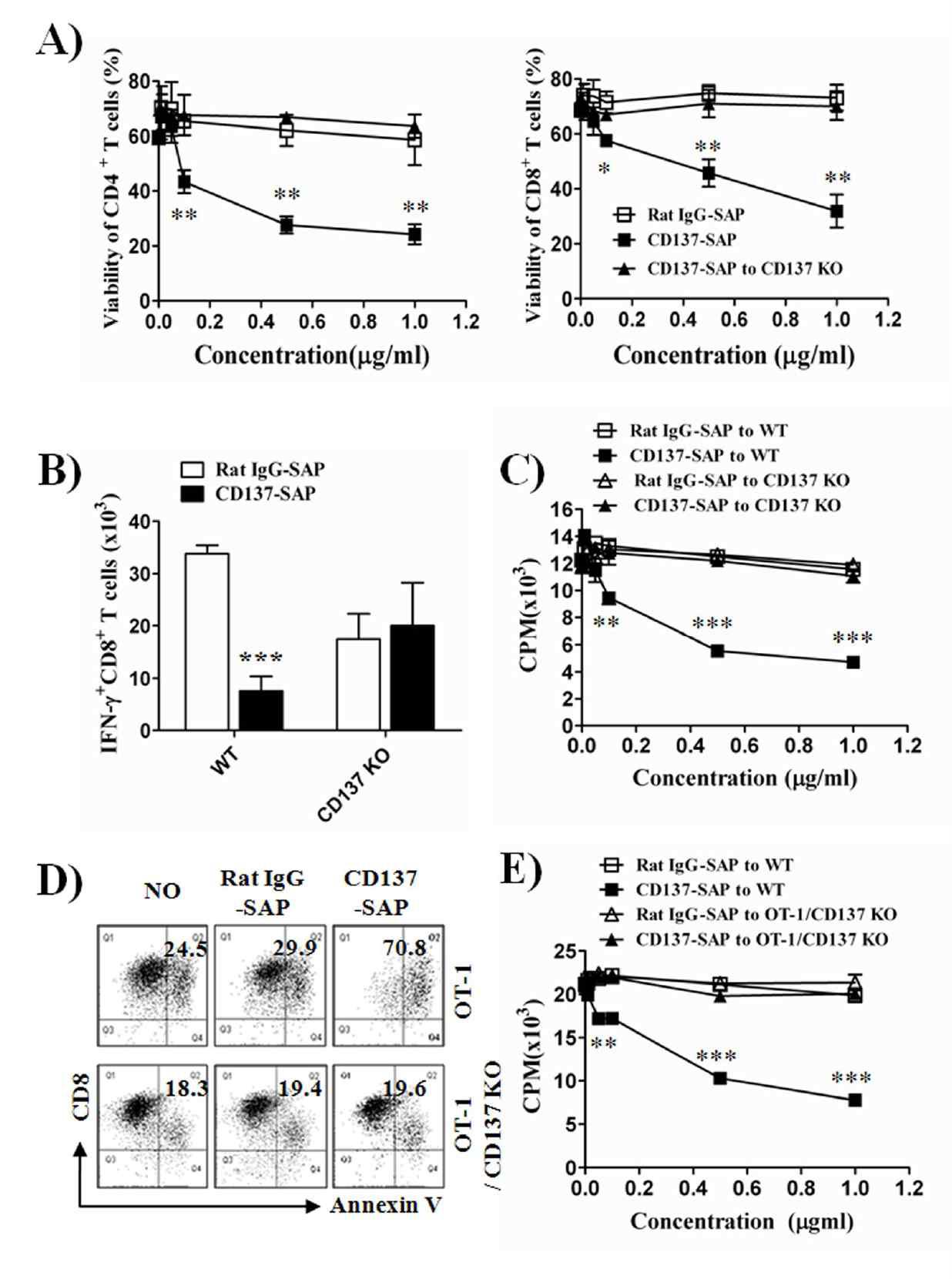 Anti-CD137-saporin complexes kill activated T cells.