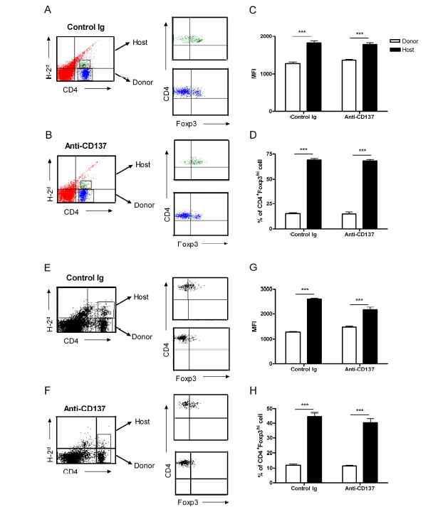 A large number of residual host Tregs exist in the spleen of GVHD mice.