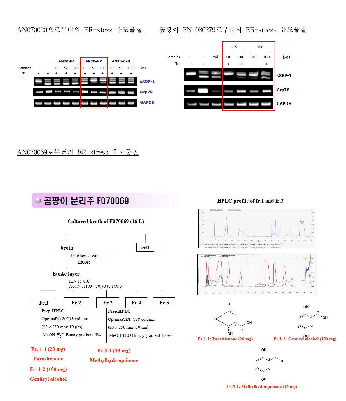 F070069 활성물질 분리 scheme, 구조 및 ER-stress 유도물질 활성