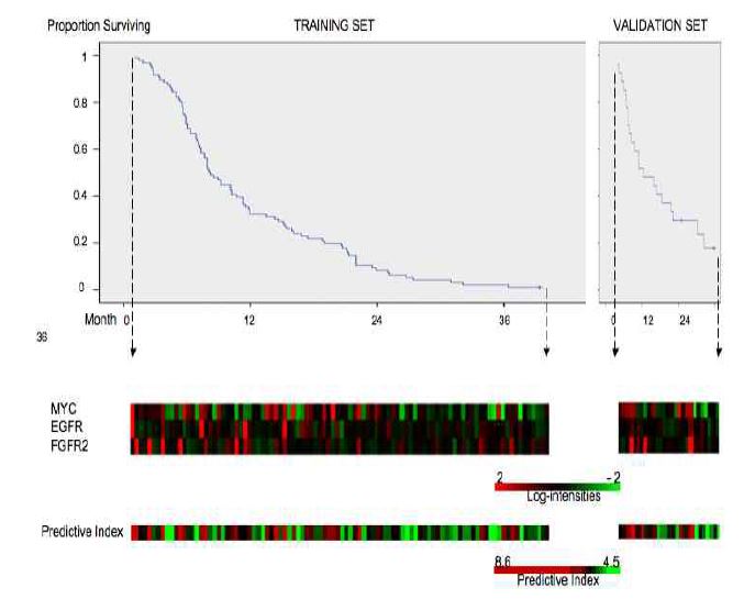 Figure 2. Affymetrix array expression levels of MYC, EGFR, and FGFR2 in 96 training setsamples(left) and 27 validation set samples(right), shown with Kaplan-Meier plots foroverall survival. Samples are ordered by the increasing survival period of patient from leftto right, for the training and validation sets, respectively. A 3-gene predictive index foreach patient based upon the 3-gene predictor is indicated below.