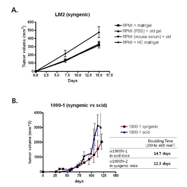Figure 26. In-vivo growth characteristic of w1900N-1 and ?LM2 cells in syngenicimmune-competent mice.