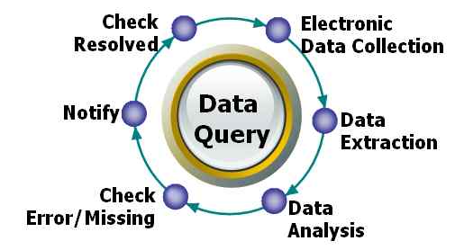 Data Query Process
