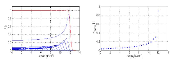 12.0 g/cm2 range에서 각각의 Bragg peak에 가중치가 부여되어 SOBP를 형성.