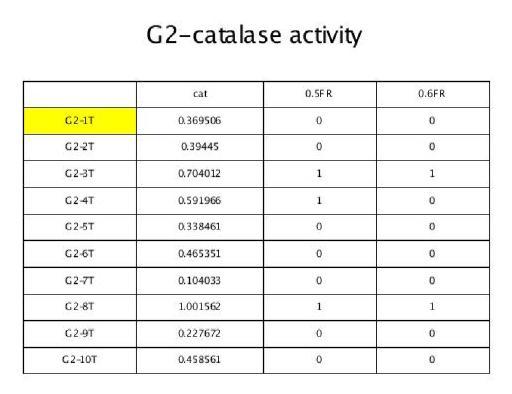 G2기 tumor tissue의 catalase activity를 측정함.