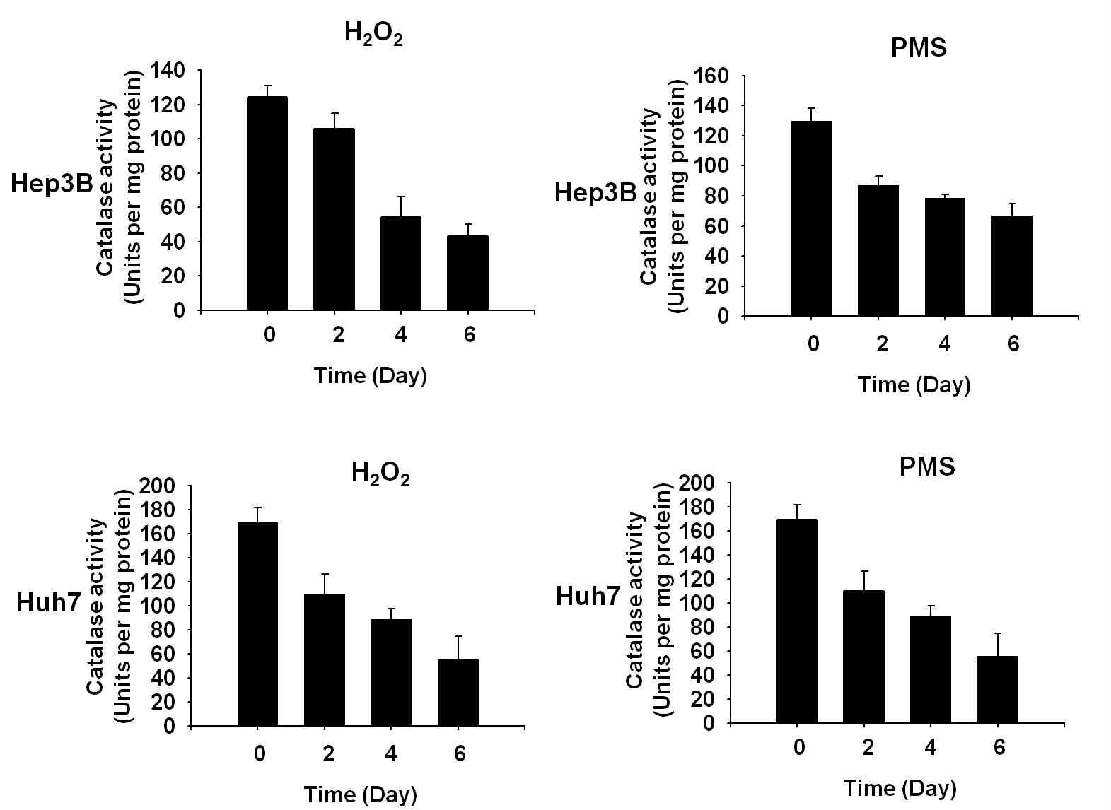 ROS 처리 후, catalase activity의 변화 분석