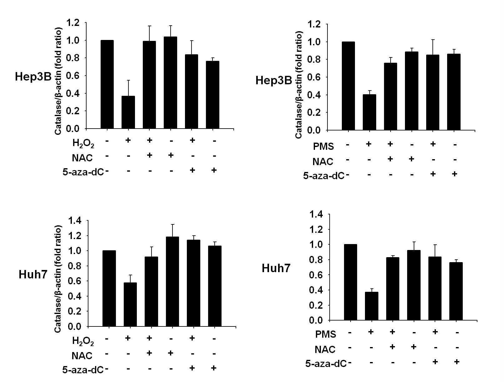 Antioxidant와 DNMT1 inhibitor가 catalase의 mRNA 발현에 주는 영향 분석