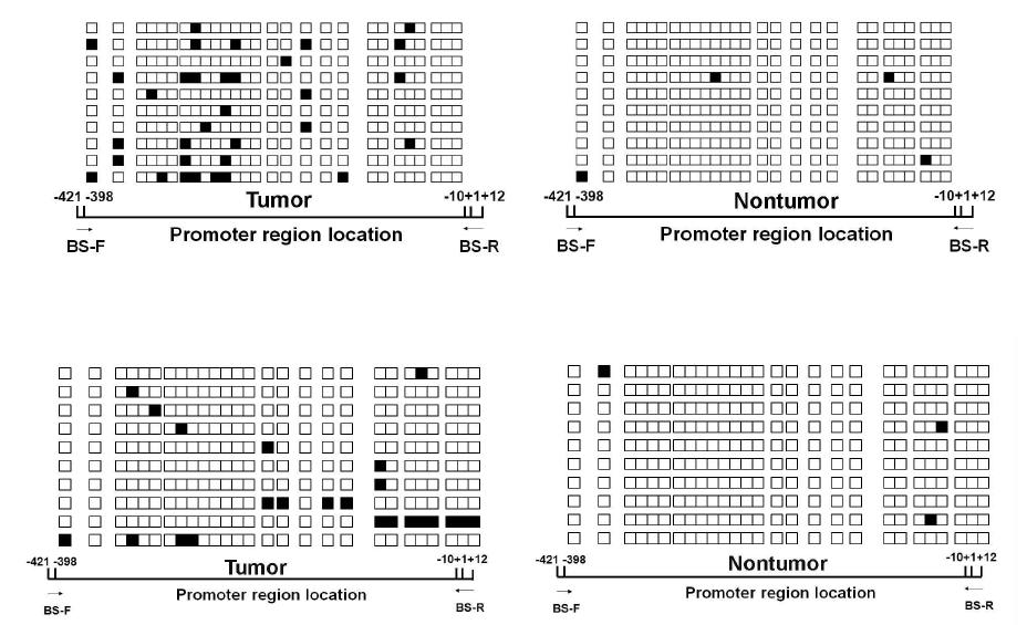 Tumor조직과 nontumor조직에서의 catalase promoter CpG islandII의 bisulfte sequencing 분석