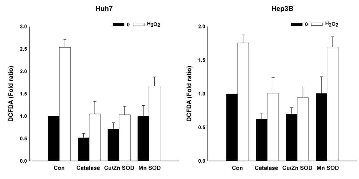 각 antioxidant enzyme이 발현되는 cell line과 control cell line에 H2O2 를 4일간 처리하고 세포 내 ROS 농도를 DCFDA를 통해 측정함.