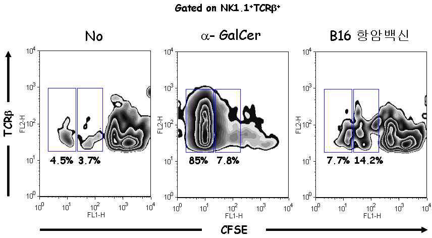 B16 항암백신에 의한 NK1.1+ T 세포의 활성