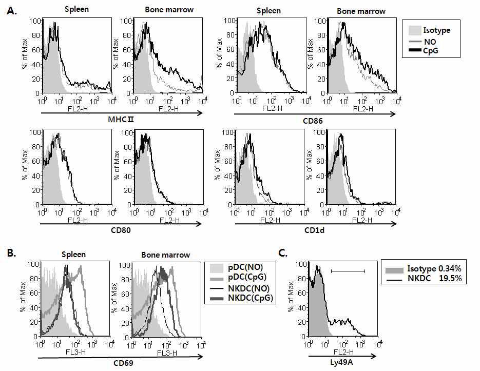 NKDC의 세포표면 발현 분자 조사