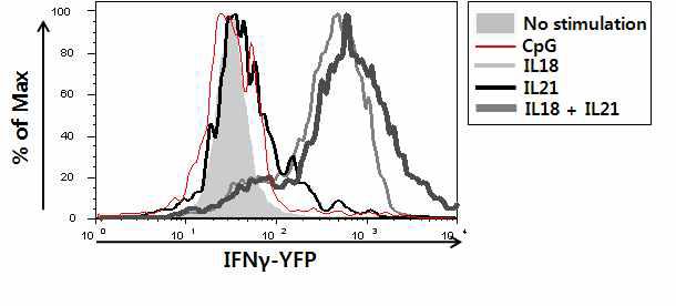 IL18과 IL21에 의한 NKDC의 활성조사