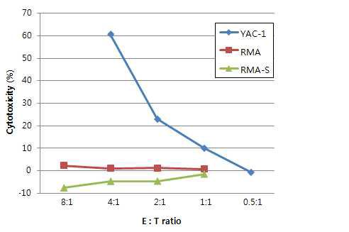 RMA-S에 대한 cytotoxicity 조사