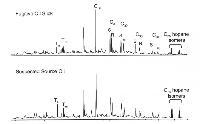 그림 3-2-6. Pentacyclic triterpane(m/z 191)을 이용한 유출유와 혐의유의 비교