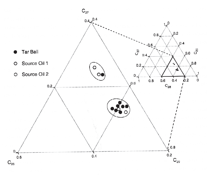 그림 3-2-8. 타르볼과 두 가지 혐의유내 5α(H),14β(H),17β(H)-sterane의 삼각분포