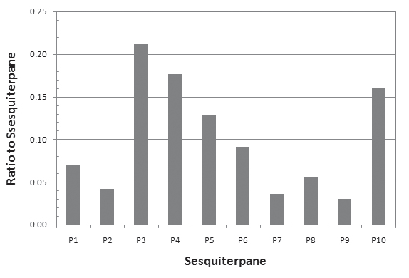 그림 3-3-8. 부산해역에서 채취된 퇴적물내 세스키터페인(sesquiterpane)의 크로마토그램
