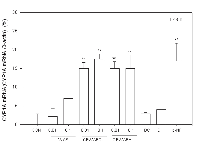 그림 3-4-18. WAF와 CEWAF에 48시간 노출된 조피볼락 CYP1A mRNA 발현