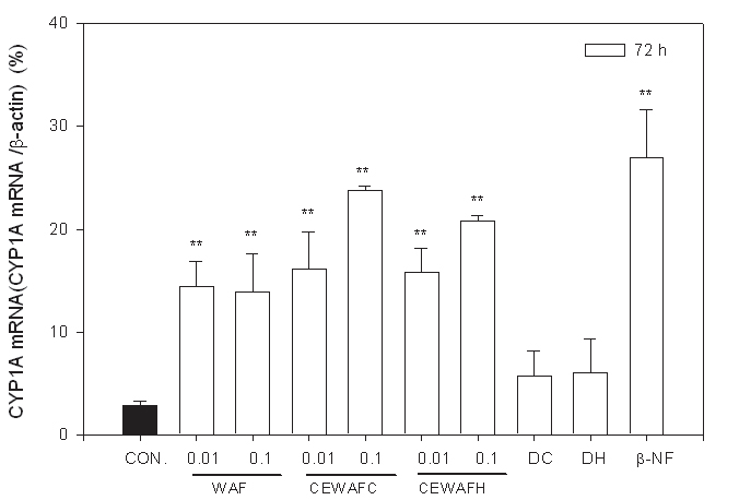 그림 3-4-19. WAF와 CEWAF에 72시간 노출된 조피볼락 CYP1A mRNA 발현변화