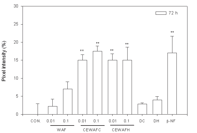 그림 3-4-21. WAF와 CEWAF에 72시간 노출된 조피볼락 CYP1A mRNA 발현변화