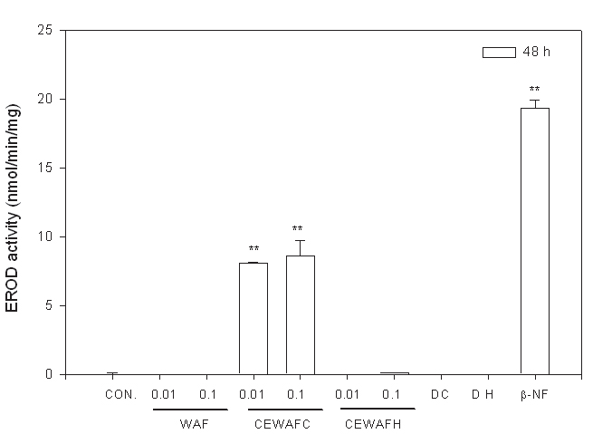 그림 3-4-22. WAF와 CEWAF에 48시간 노출된 조피볼락 EROD 활성변화