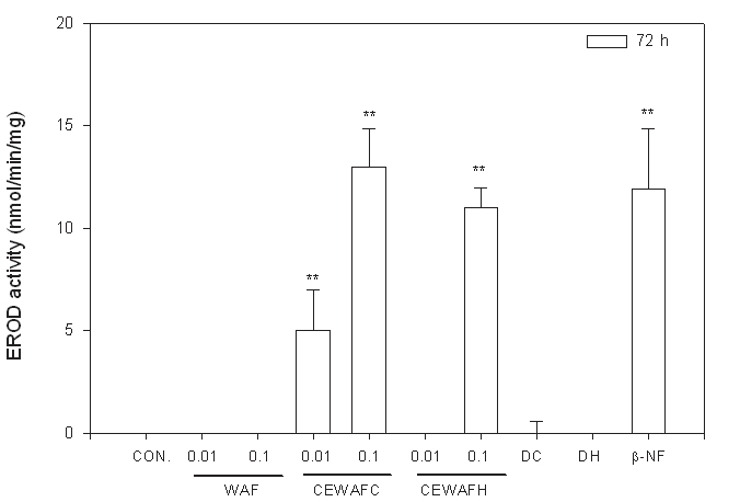 그림 3-4-23. WAF와 CEWAF에 72시간 노출된 조피볼락 EROD 활성변화