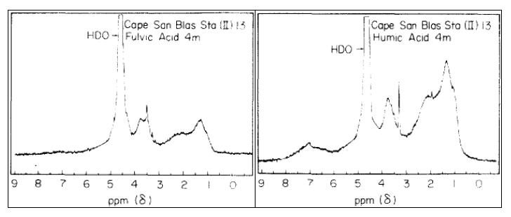 그림 3-2-66. 해수 내 humic acid와 fulvic acid의 H1 NMR spectrum