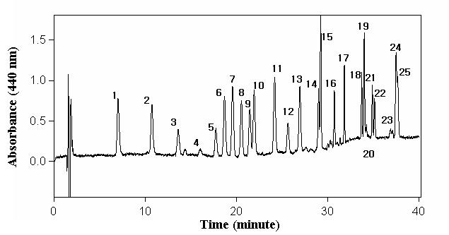 혼합된 표준용액의 HPLC 크로마토그람 및 동정