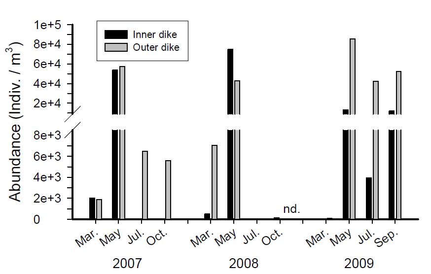 2007～2009년 새만금 수역의 야광충 개체수 분포