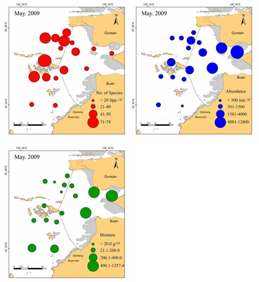 2009년 5월 새만금 조하대해역에서 출현한 대형저서동물의 종수, 개체수 및 생체량의 공간 분포