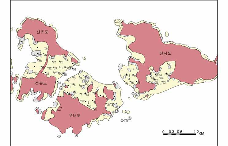 고군산군도 주변 갯벌에 서식하는 유용패류자원 조사 정점도