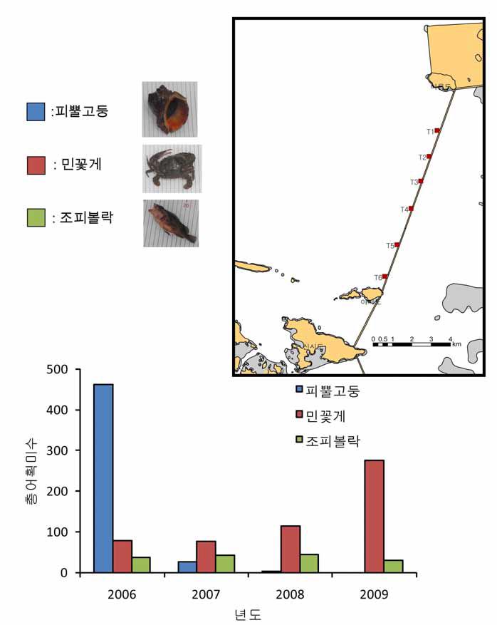 새만금 4호 방조제를 서식지로 활용하는 주요 유용생물의 년도별 자원량 변화