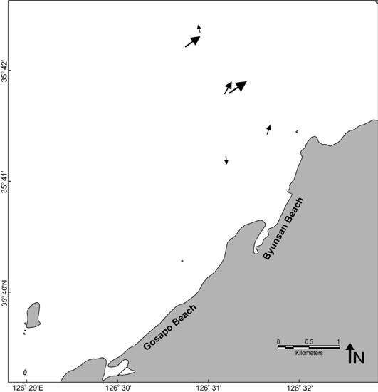 변산해빈 외측해역의 수층에서 관측된 부유물질 플럭스의 이동방향(2004년, 2010년)