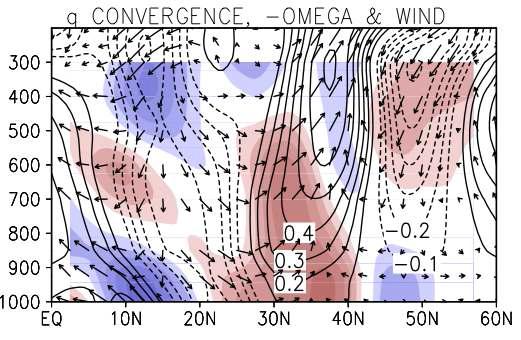 Correlation of moisture convergence (shade), -Ω velocity (contour) and (v, -Ω) wind along the 127.5°-130°E band with the subseasonal component of KMA precipitation.