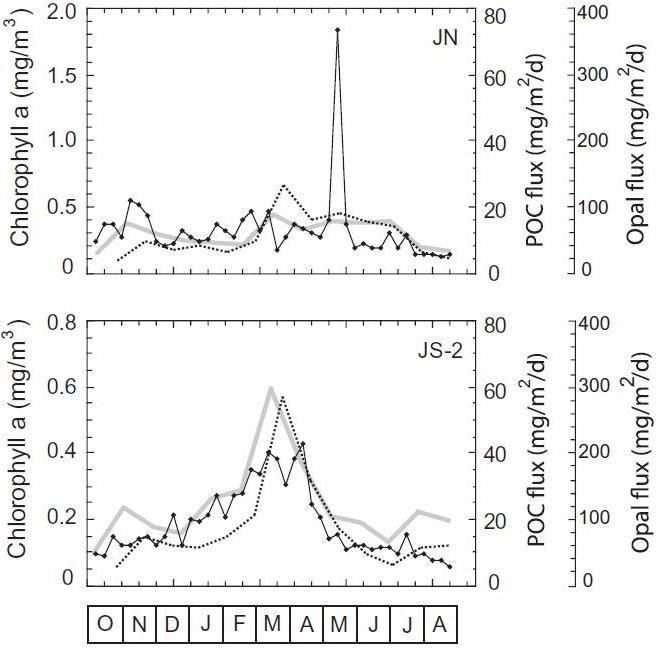 Comparisons between chlorophyll a concentration and opal and POC fluxes at stations JN and JS-2. Chlorophyll concentration was derived from satellite data. Opal and POC data were from analysis of the same sediment trap materials. (Gray: POC, Dashed: opal, Black dot: chlorophyll).