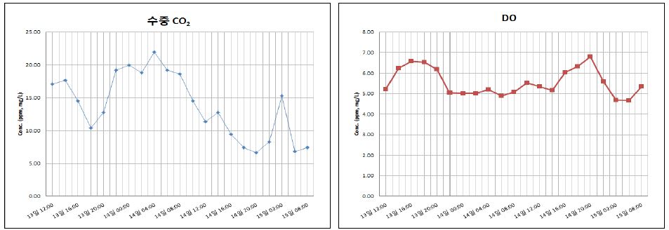 Fig. 27 수중 CO2, DO 농도 변화 - 을숙도 (2009.08.13)