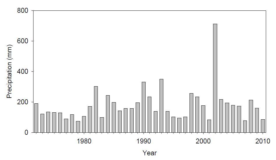 Changes of annual maximum value of daily precipitation of Daegwallyeong.