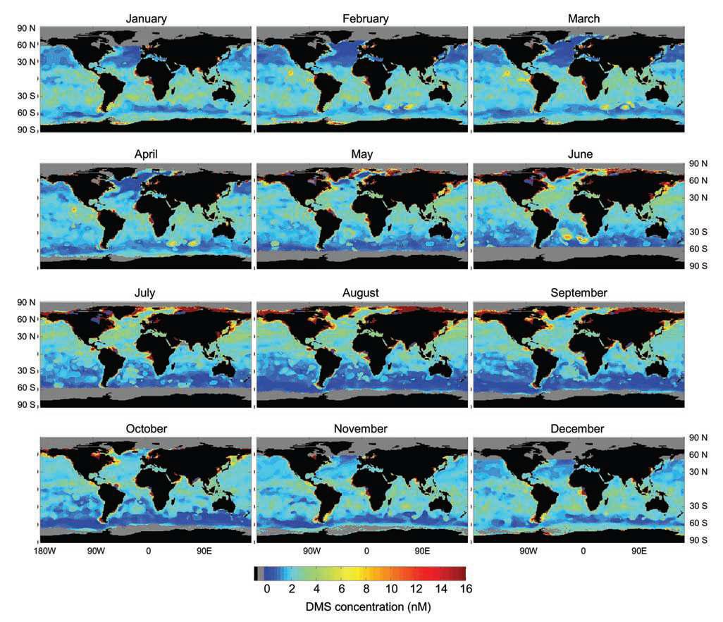 Predicted global distribution of seasonally-averaged DMS concentration in surface sea water