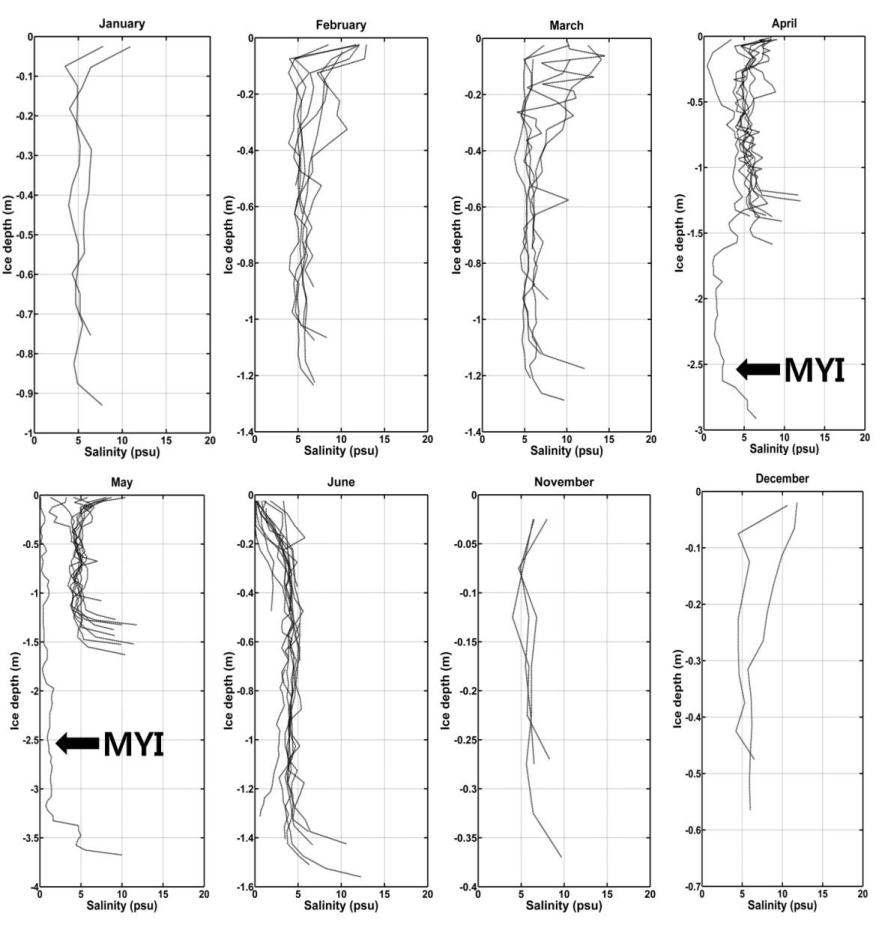 1년간 관측된 해빙의 두께별 염분도