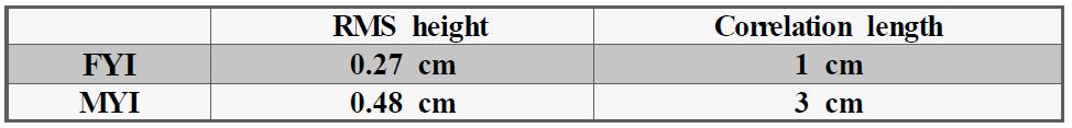 북극해 FYI/MYI의 평균 RMS height 및 Correlation length