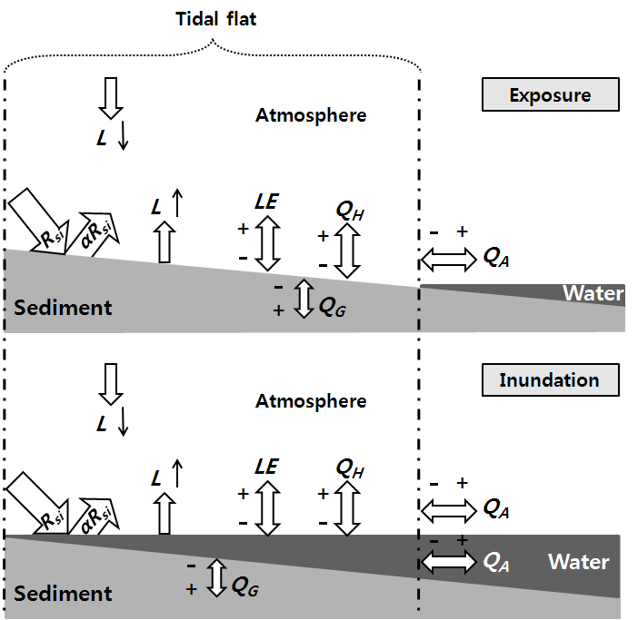 Fig. 2. 갯벌 조간대에서 열에너지 수지 모식도.