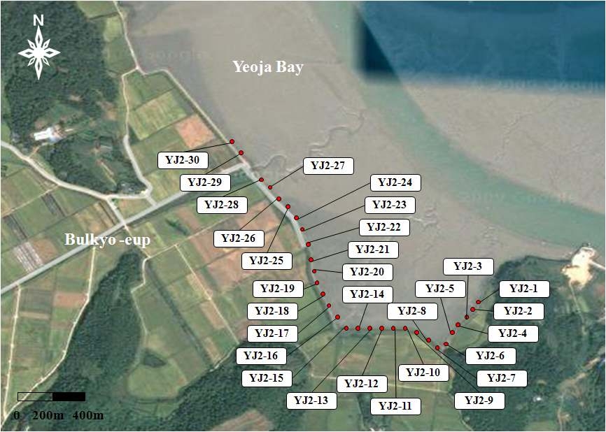 Fig. 8. 벌교갯벌의 관측지점 위치도