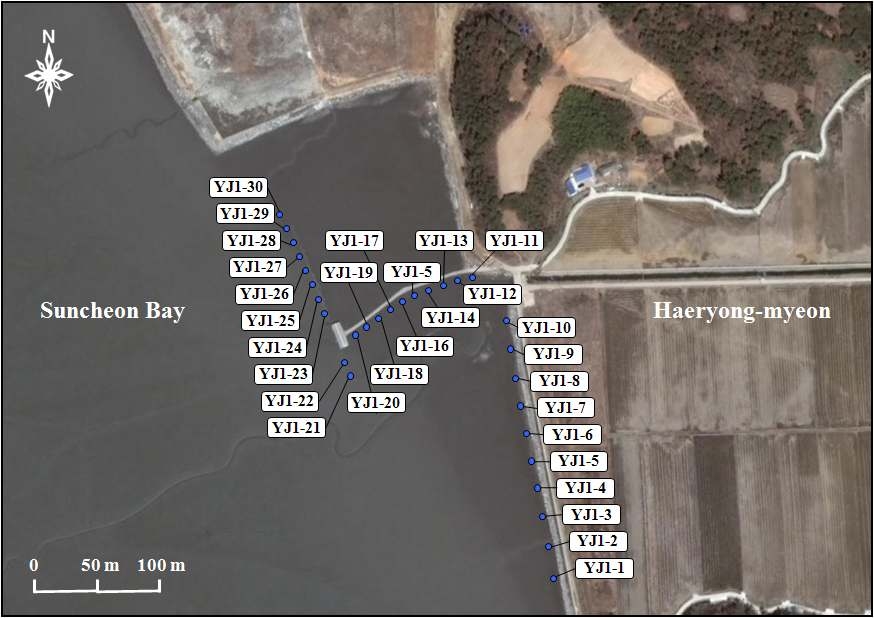 Fig. 7. 순천갯벌의 관측지점 위치도