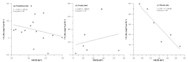 Fig. 21. 토양 Eh에 따른 이산화탄소 플럭스 선형회귀함수 그래프