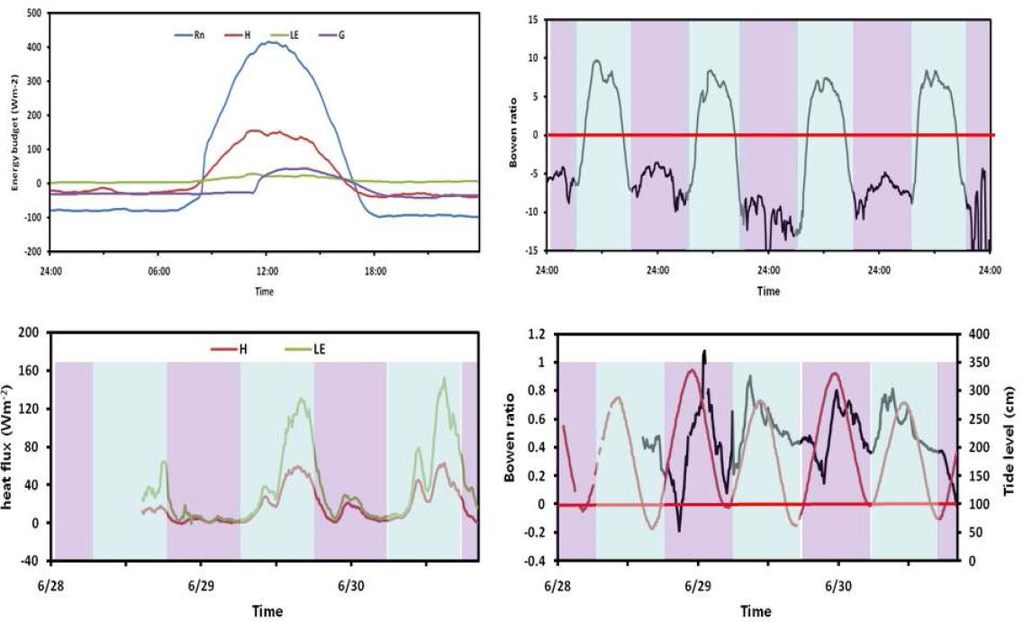 Fig. 25. 순천갯벌의 에너지 수지 그래프((a): 좌상, (b): 우상, (c): 좌하, (d): 우하))