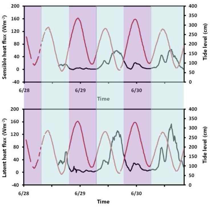 Fig. 26. 순천갯벌의 현열플럭스 및 잠열플럭스 그래프