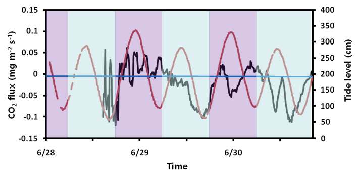 Fig. 27. 순천갯벌의 이산화탄소 플럭스 그래프