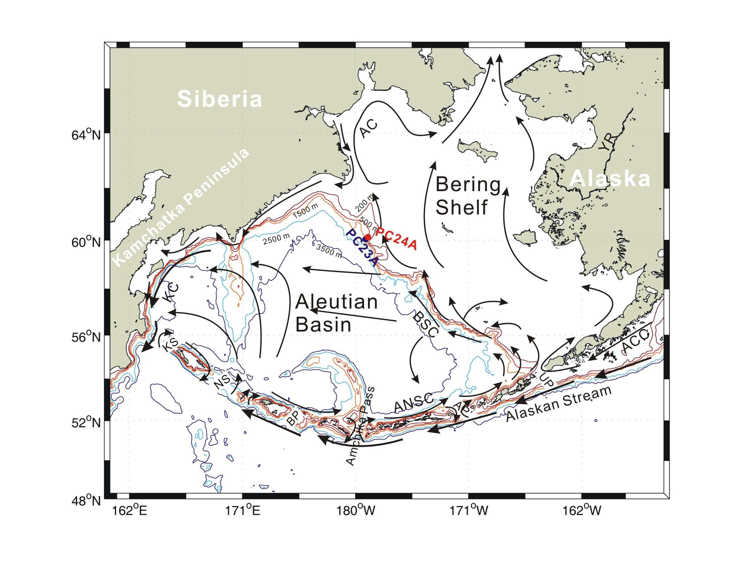 Schematic bathymetry of the Bering Sea. See sample sites of cores PC23A, PC24A, and PC25A. Arrows show the direction of major surface currents. BSC: Bering Slope Current, ANSC: Aleutian North Slope Current, KC: Kamchatka Current, AC: Anadyr Current, ACC: Alaska Coastal Current, KS: Kamchatka Strait, NS: Near Strait, BP: Buldir Pass, AP: Amutka Pass, UP: Unimak Pass. Dashed line represents seasonal sea ice cover for the glacial period (refer to Katsuki and Takahashi, 2005). Dark blue area represents the glacial ice sheet around the Bering Sea (Clark and Mix, 2002).