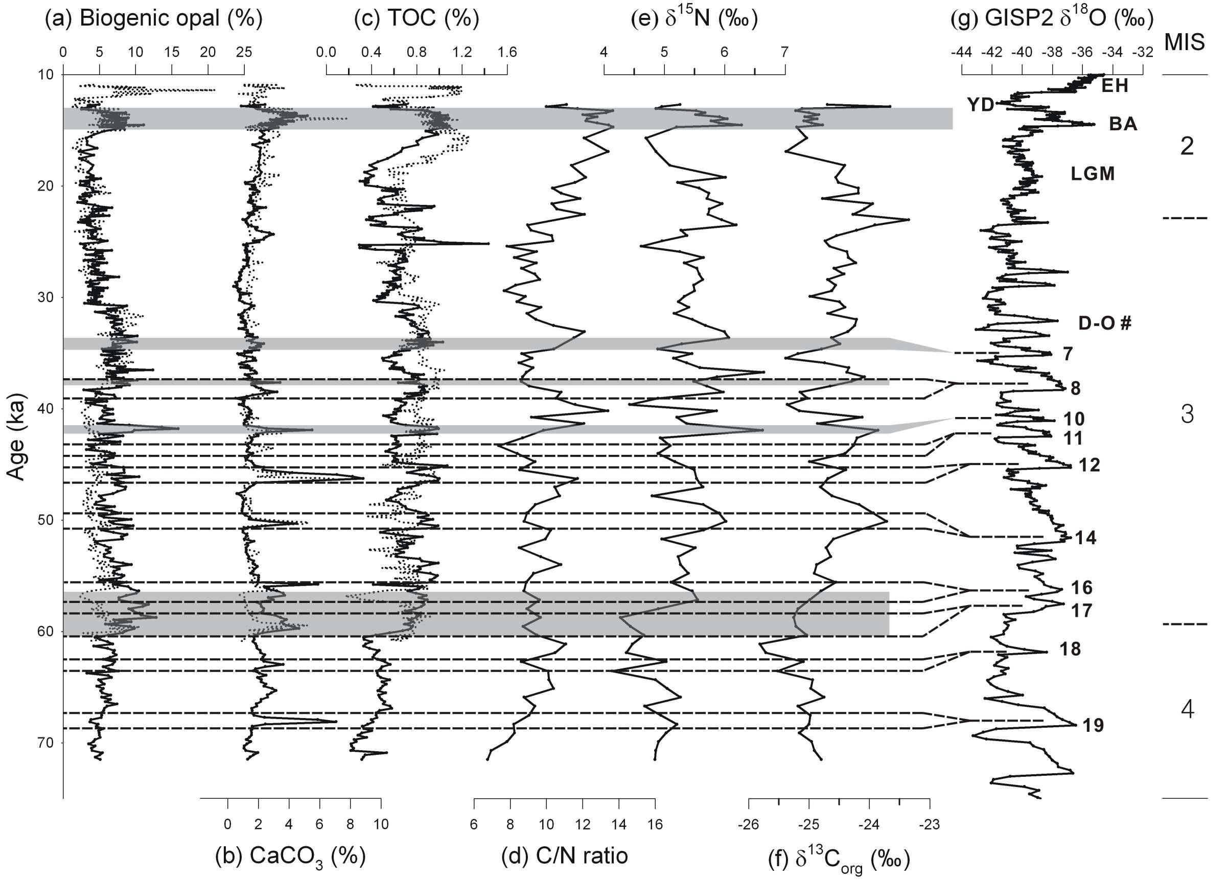 Downcore profiles of (a) biogenic opal content, (b) CaCO3 content, (c) TOC content, (d) C/N ratio, (e) nitrogen and (f) carbon isotopes of sedimentary organic matters in core PC24A, and (g)Greenland ice core oxygen isotopes (GISP2, Grootes et al., 1993). Note Marine Isotope Stages on the top. YD: Younger Dryas, BA: Bølling-Allerød, D-O: Dansgaard-Oeschger interstadials. Shaded bars represent sediment laminations and dashed lines indicate warm interstadials. Red lines are downcore profiles of biogenic opal, CaCO3, and TOC contents of core PC23A (Itaki et al., 2009).